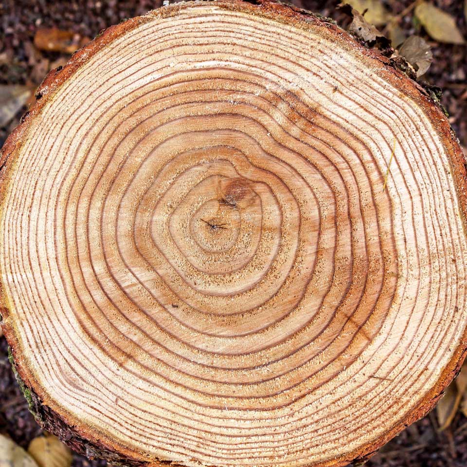 Broyage et valorisation des déchets verts