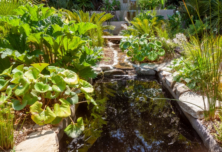 Plantations d'arbustes et engazonnement