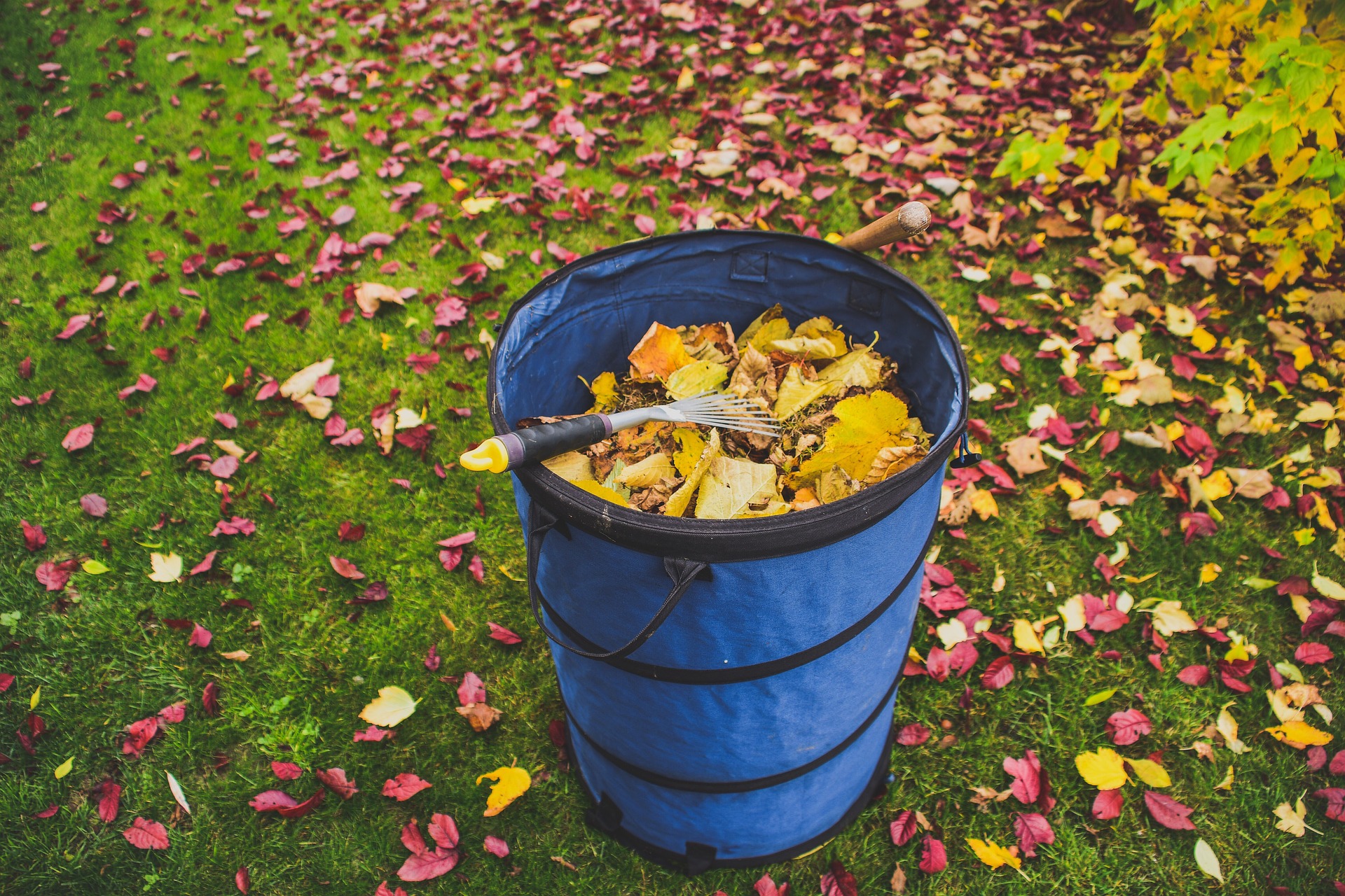 Ramassage de feuilles et nettoyage saisonnier de jardin