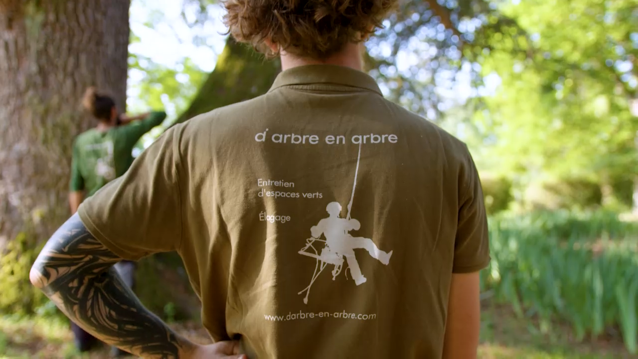 Arboriste-grimpeur D'Arbre en Arbre en intervention